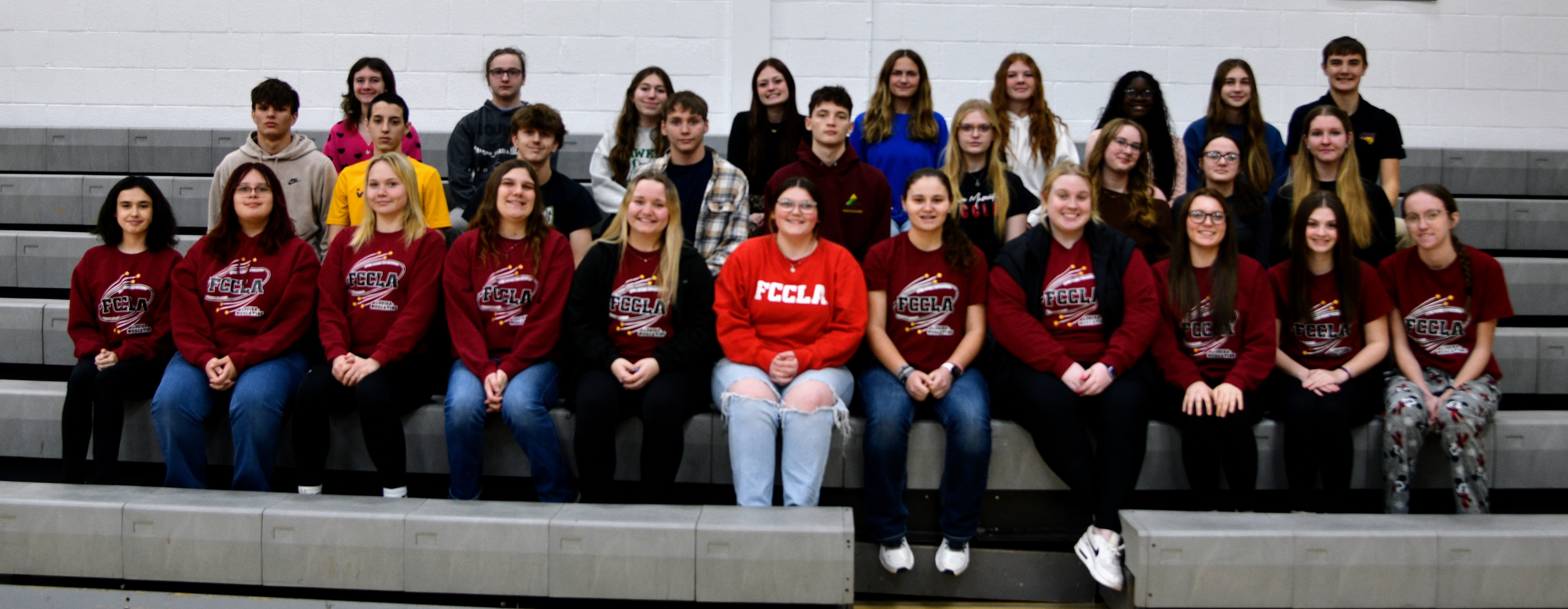 FCCLA group copy