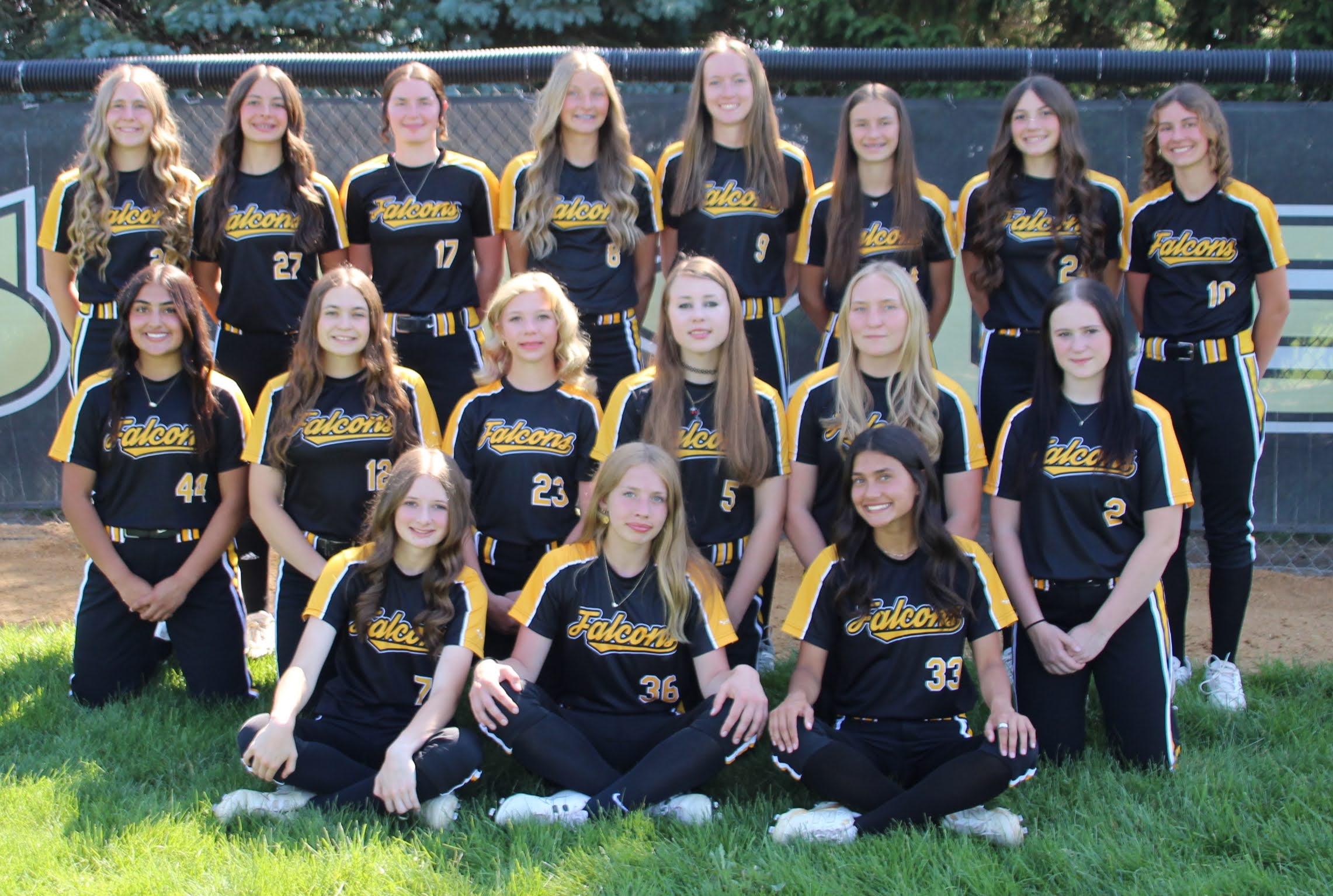 V Softball