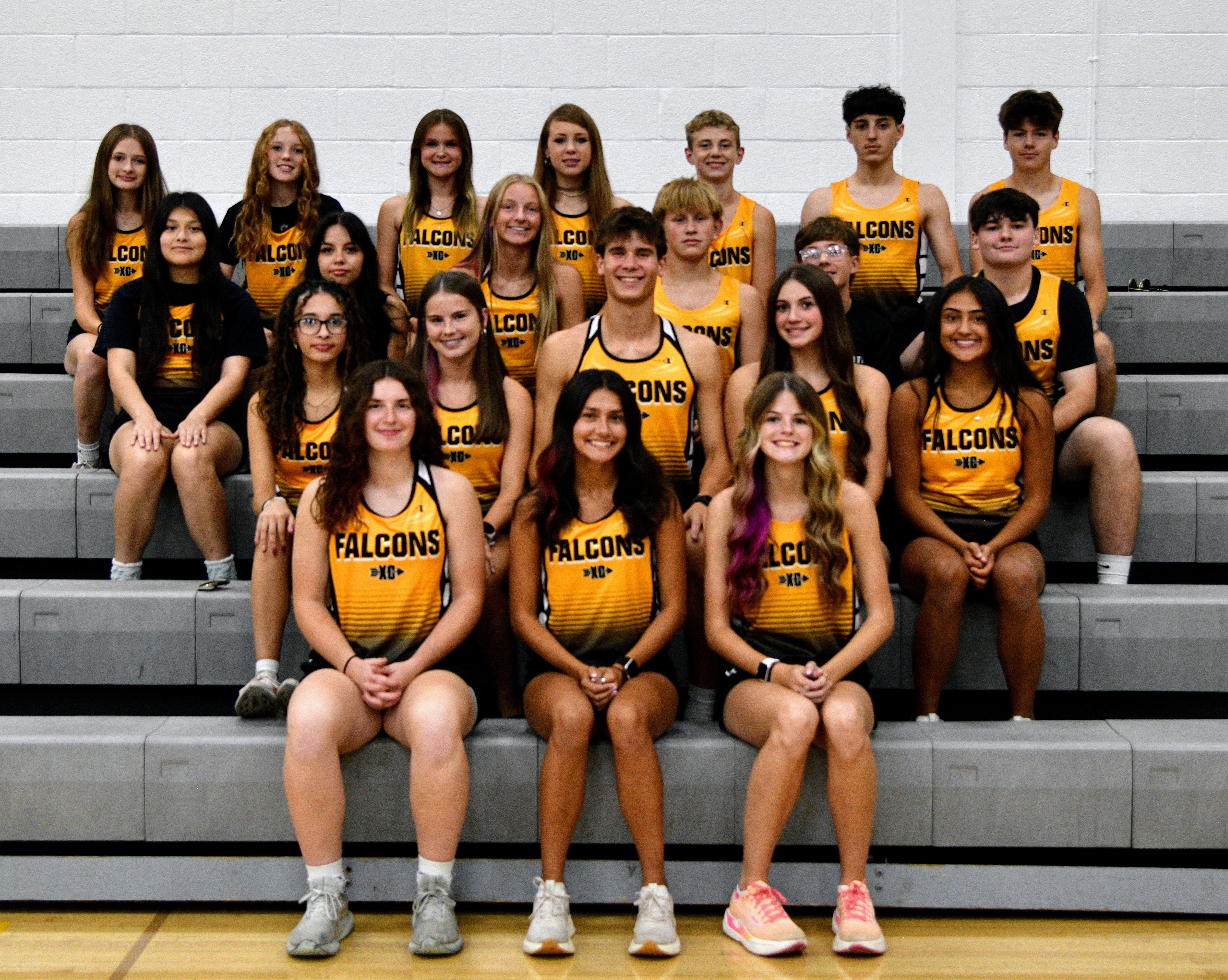 JV  V XC