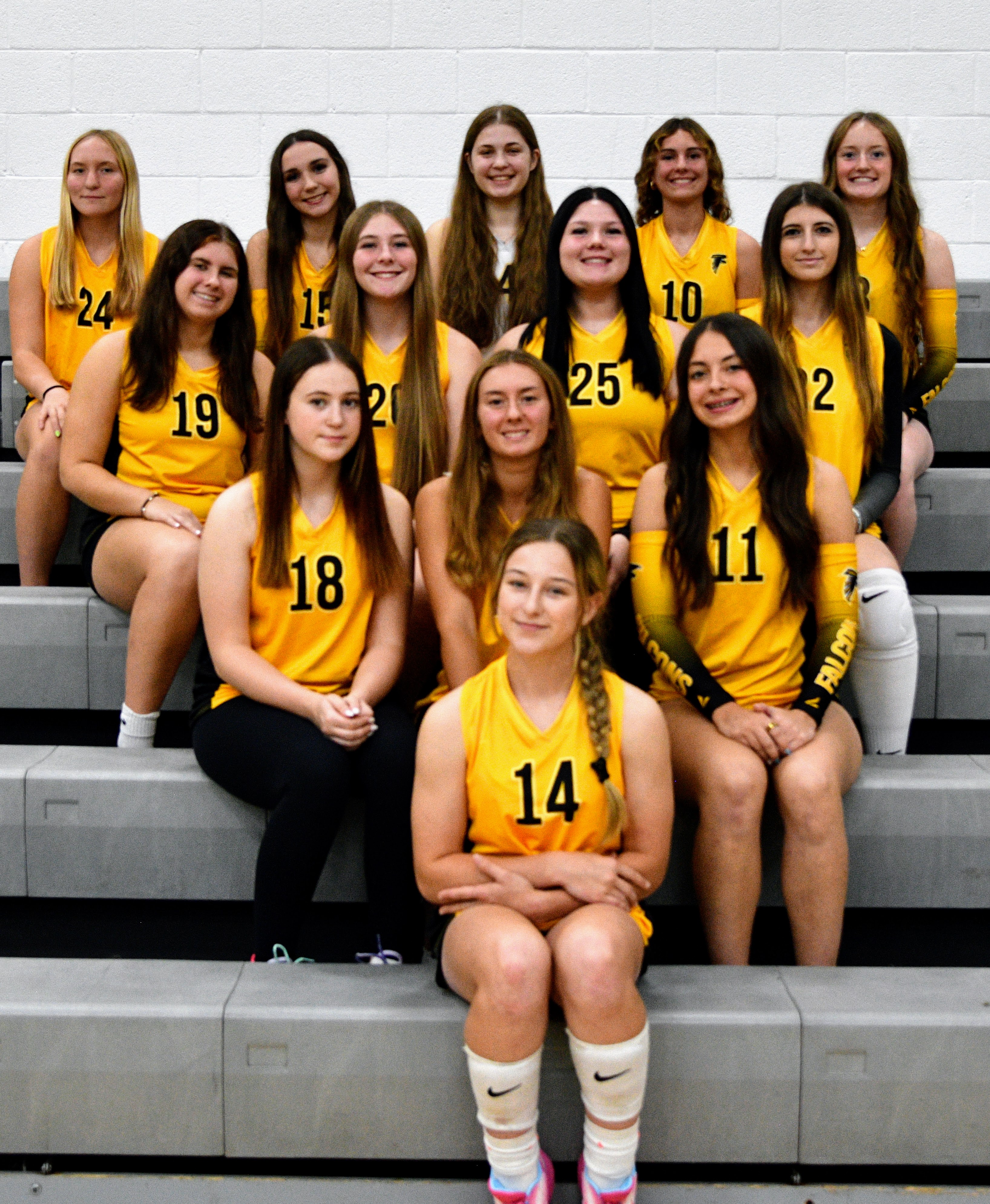 JV VB